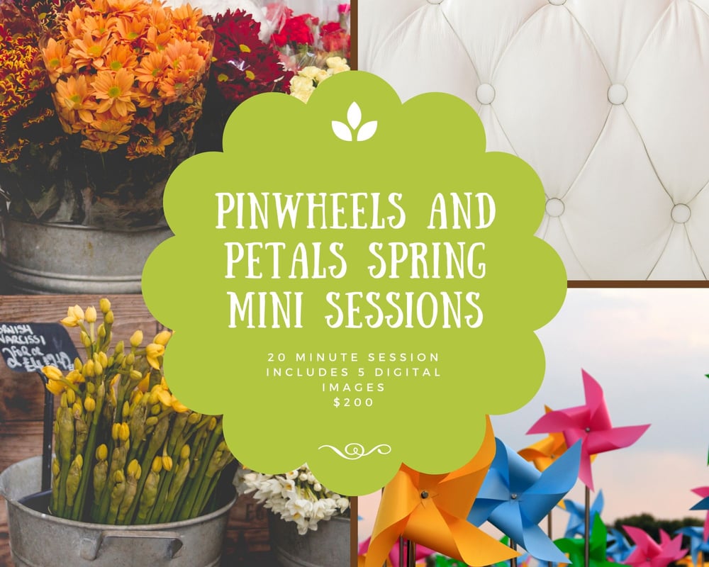 Image of Pinwheels and Petals Spring Mini Sessions 