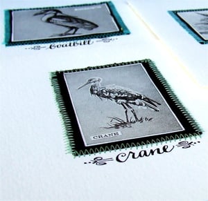 Image of Special Tweet Bird card pack (3 cards: Boatbill, Sandpiper, Crane)