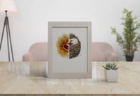 Image 3 of Hedgehog and chestnut