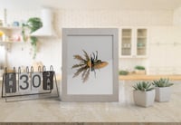 Image 2 of Thistle and stag beetle