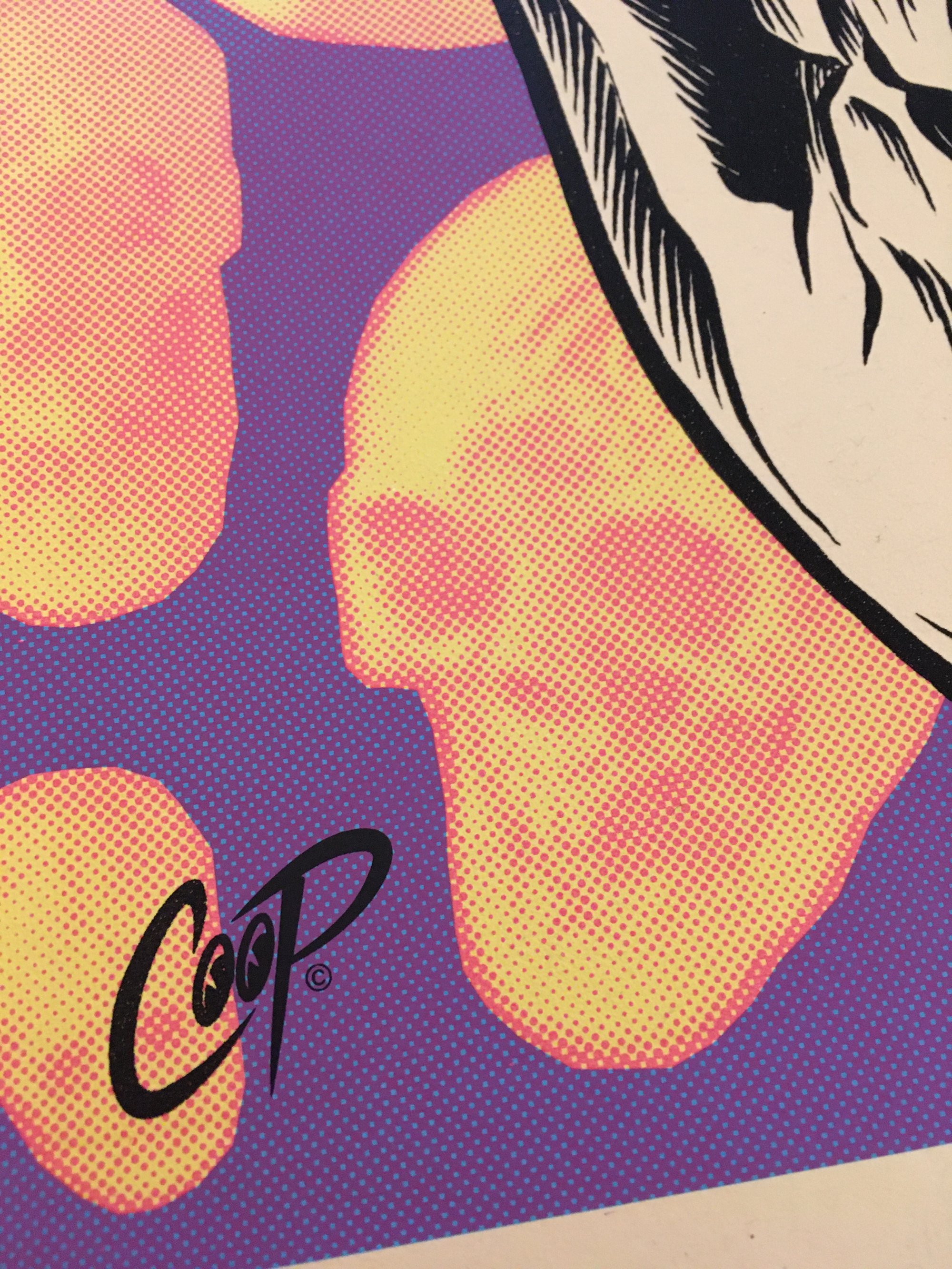VOODOO GLOW SKULL Silkscreen Print (glows in the dark VOODOO GLOW SKULL Silkscreen Print (glows in the dark