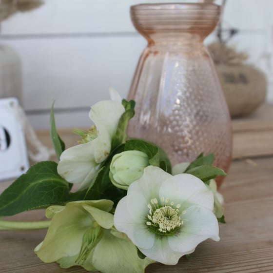 Image of Vase à jacinthe en verre rosé.