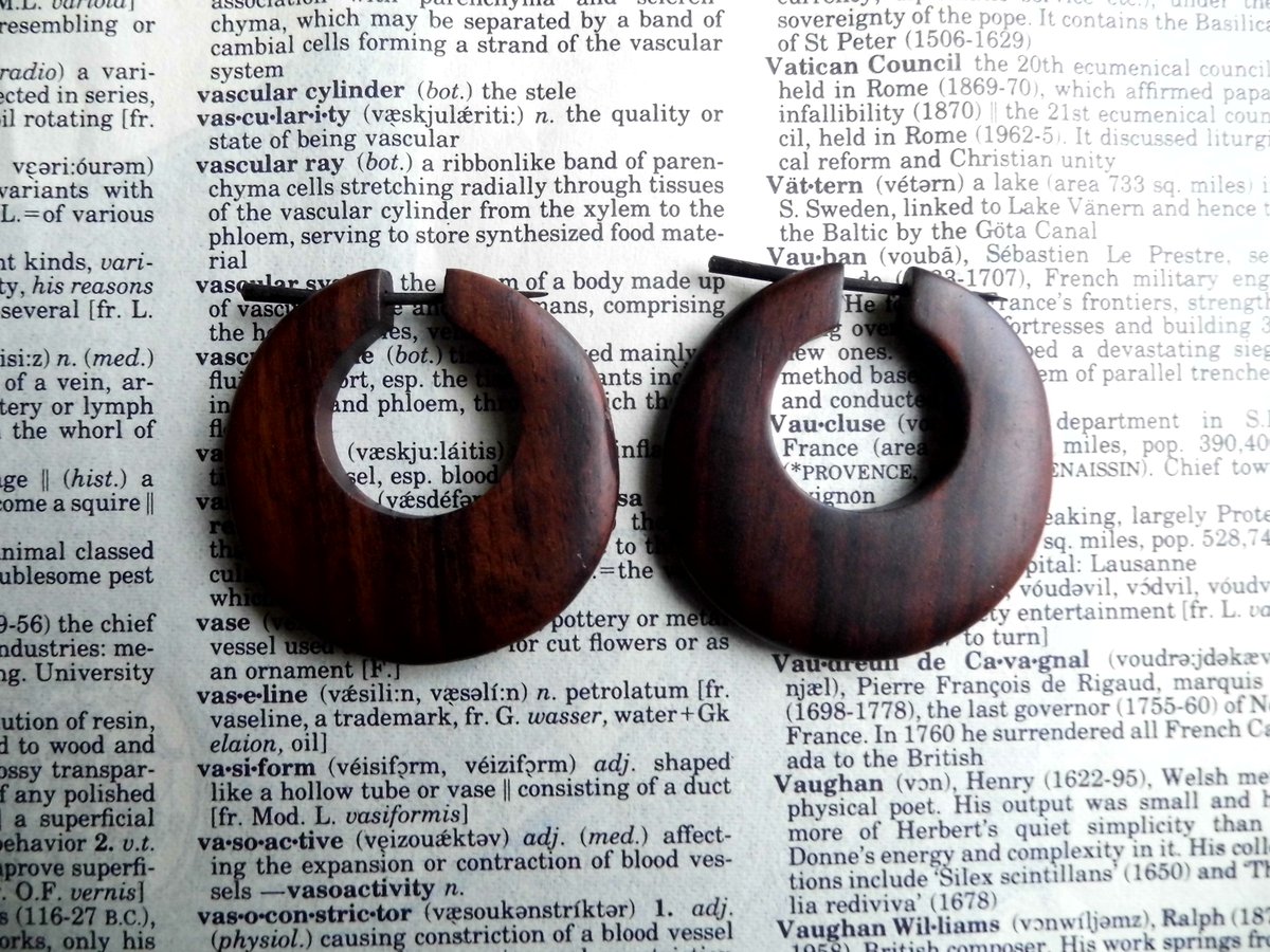 Large Round Earrings Brown Wooden Hoops 