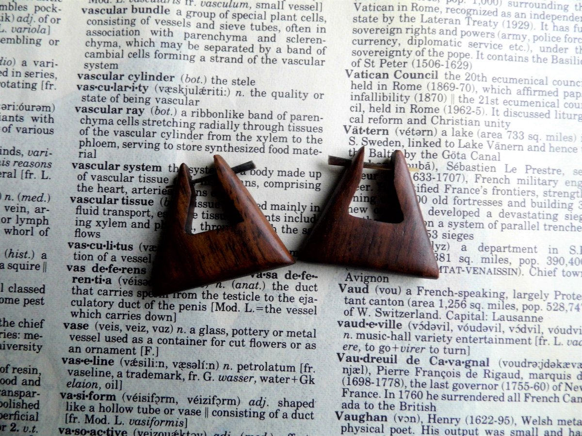 Geometric Round Square Wooden Earrings