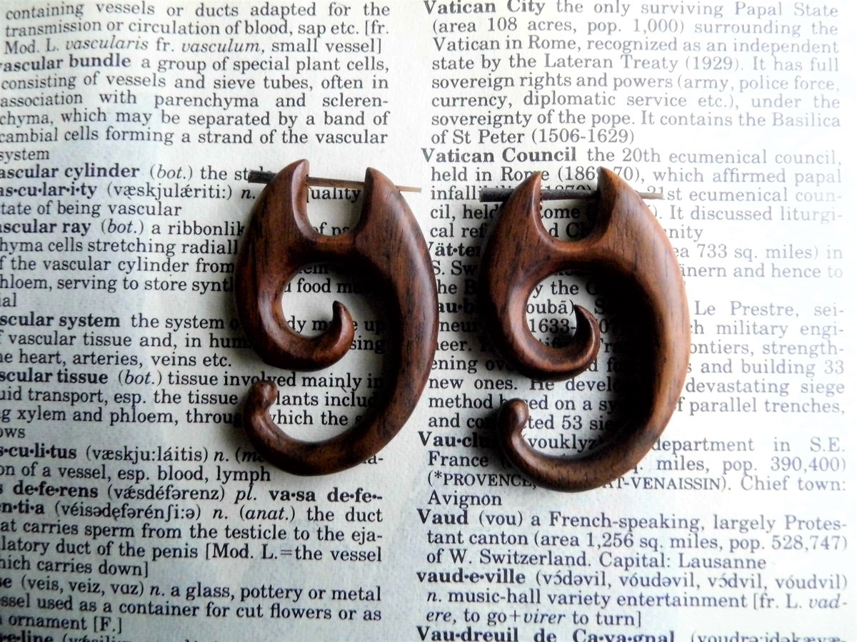 Wave Inspired Wood Hoops Earrings