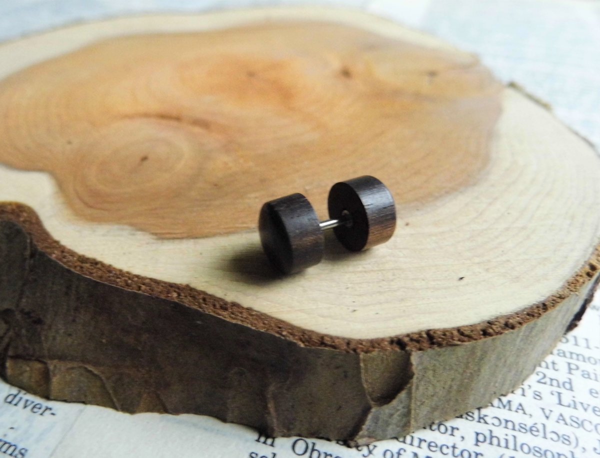 Dark Brown Wooden Stud Earrings Faux Plugs