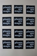 Plants are Magic Sticker 