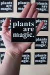 Plants are Magic Sticker 