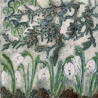 Image 4 of Snowdrops in February 