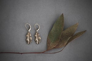 Image of *SALE* oak leaf earrings (silver or 9ct gold)