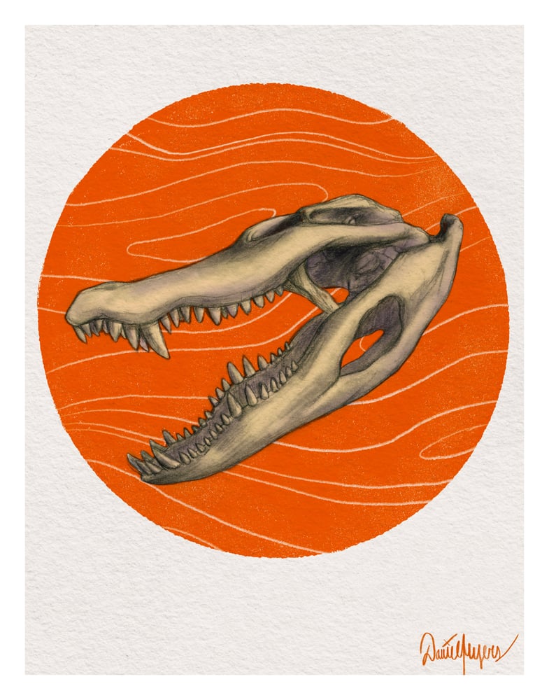Image of "Gator Skull" - Print