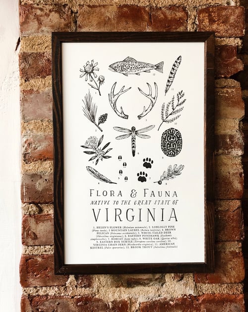 Image of Virginia Field Guide Print by The Wild Wander