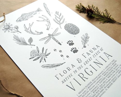 Image of Virginia Field Guide Print by The Wild Wander