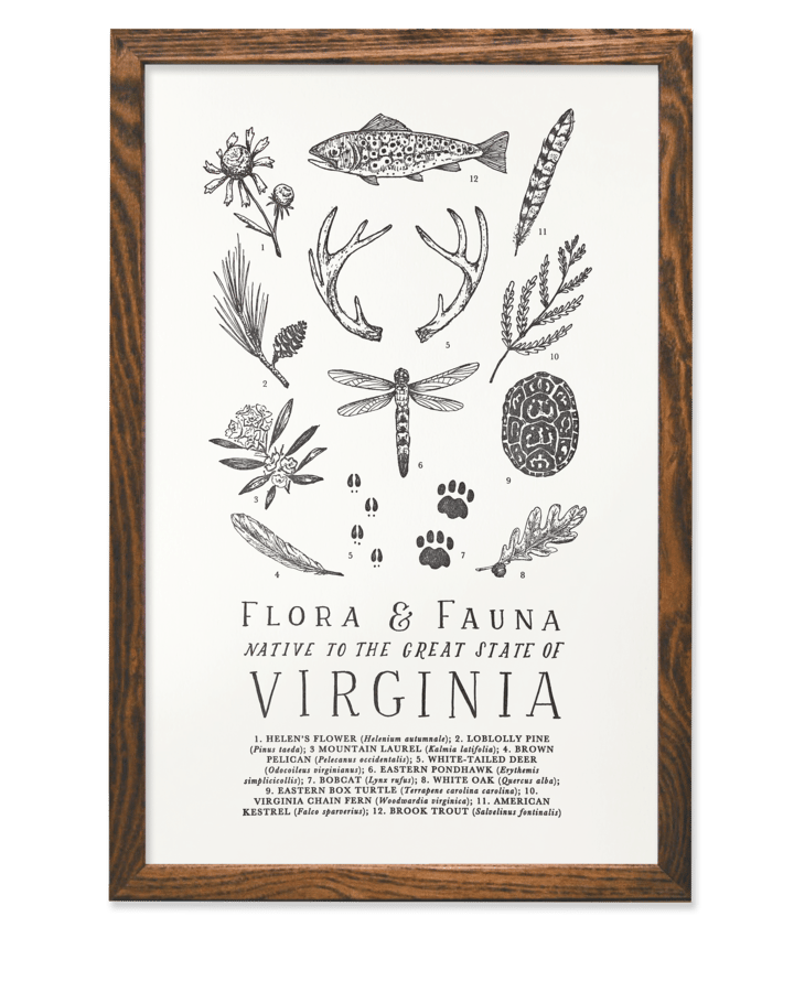 Image of Virginia Field Guide Print by The Wild Wander