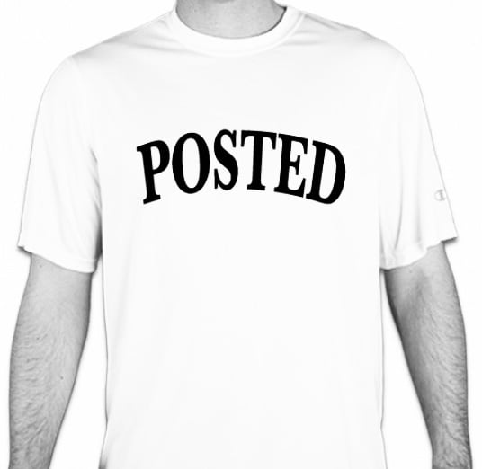 Image of POSTED OG LOGO CHAMPION T-SHIRT (WHITE)