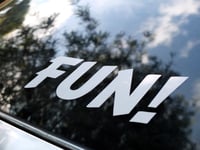 Image 1 of FUN! Sticker medium