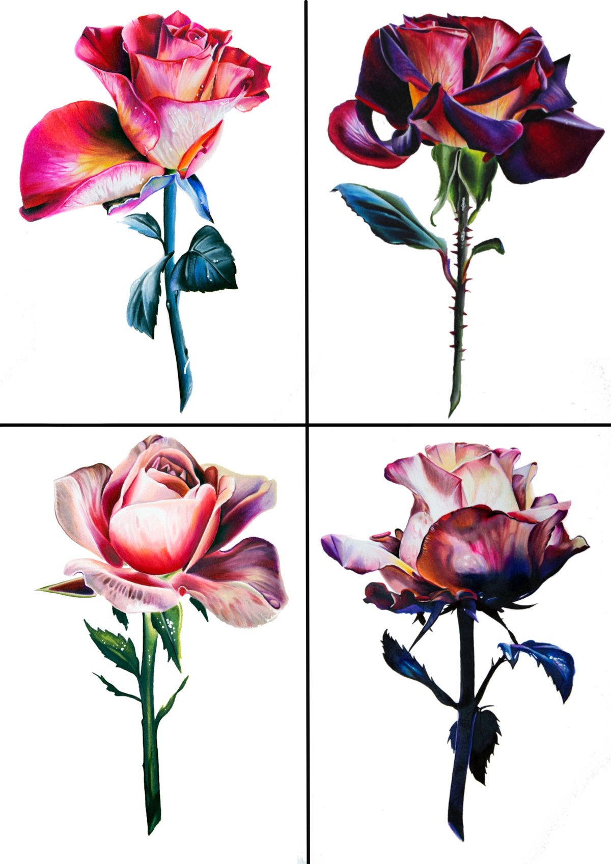 Set Of 4 Rose Prints Leanne Fate Tattoo