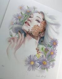 Image 4 of Hive - Limited Edition Print