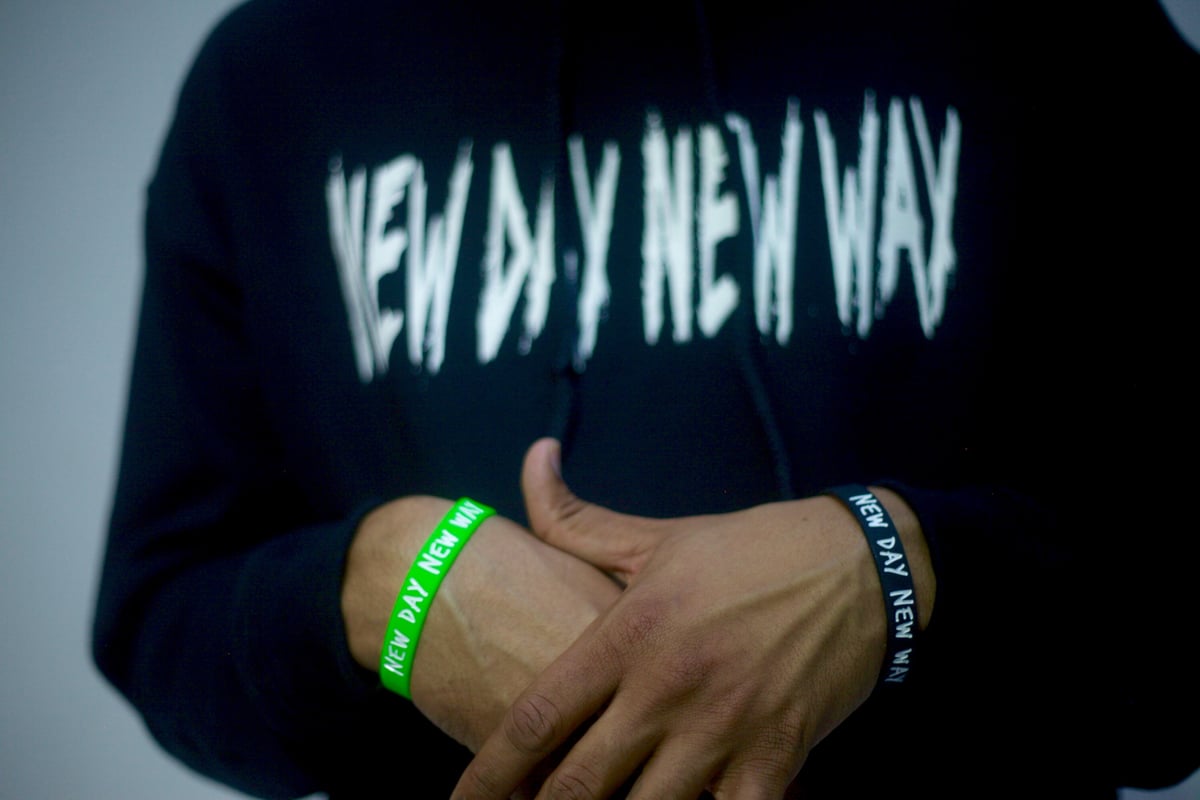 New Day New Way logo band