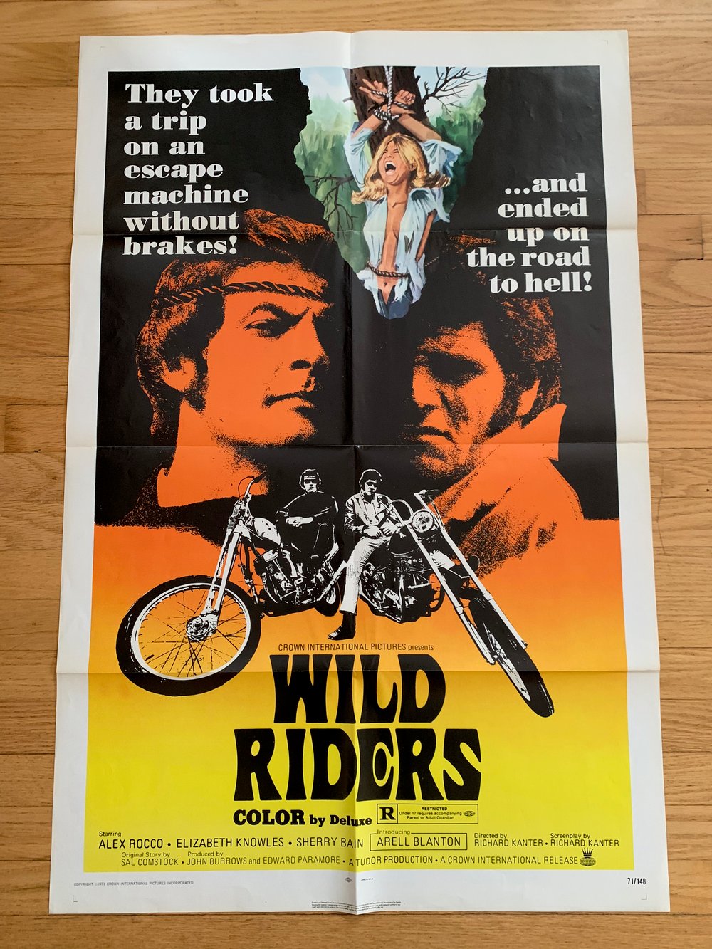 1971 WILD RIDERS Original U.S. One Sheet Movie Poster