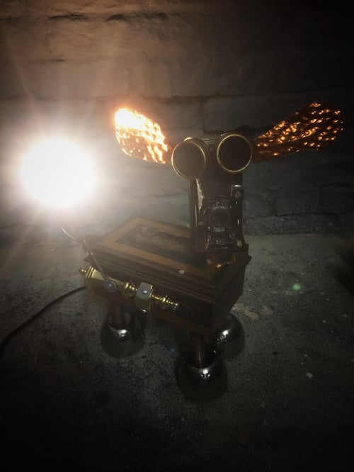 Image of Dapper Flapper