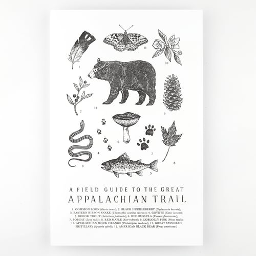 Image of Appalachian Trail Field Guide Letterpress Print by The Wild Wander