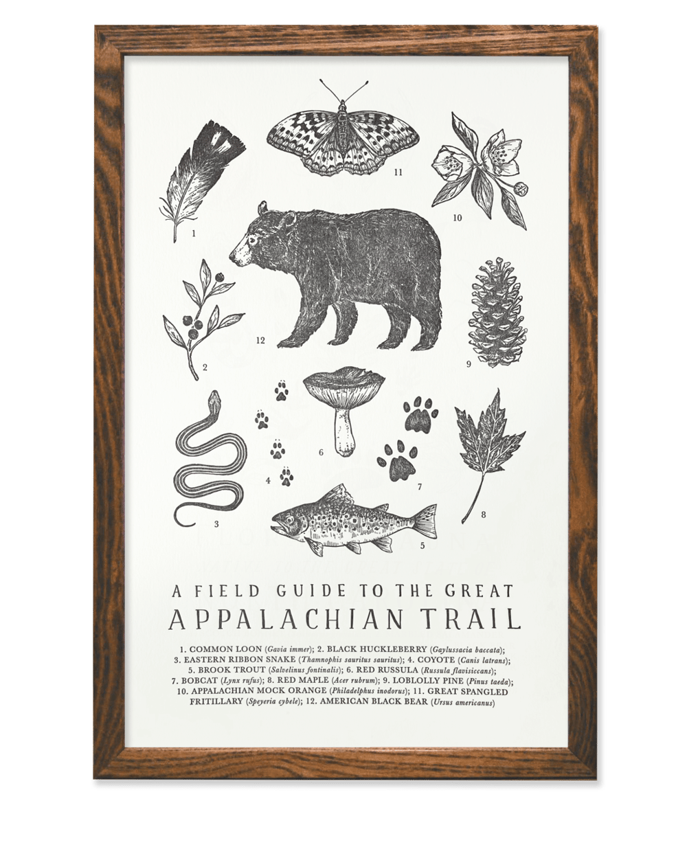 Image of Appalachian Trail Field Guide Letterpress Print by The Wild Wander