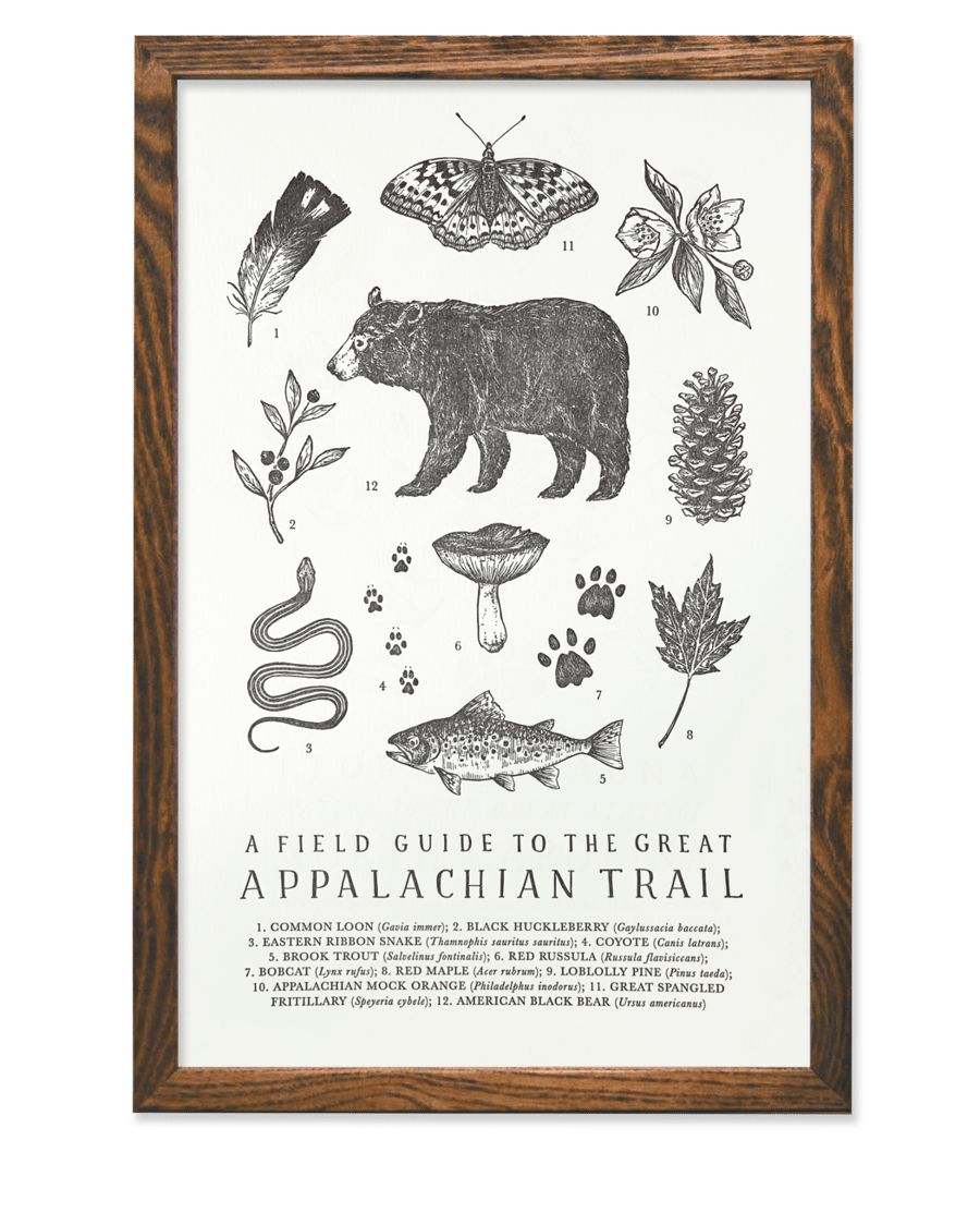 Image of Appalachian Trail Field Guide Letterpress Print by The Wild Wander