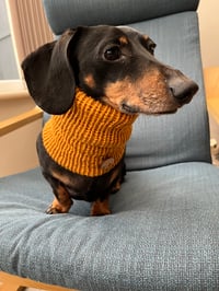 Image 1 of Snazzy Sausage Snood