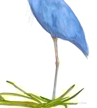 Image 3 of Heron at the river,  Original bird art watercolor 