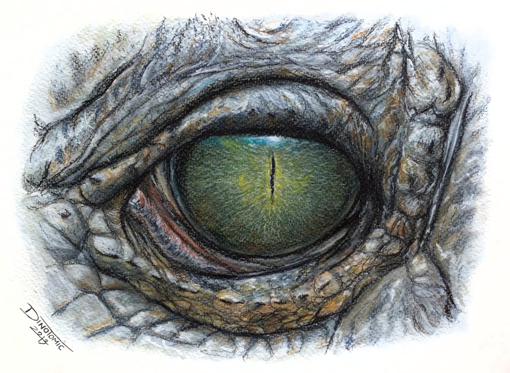 Image of #168 Reptile eye print 
