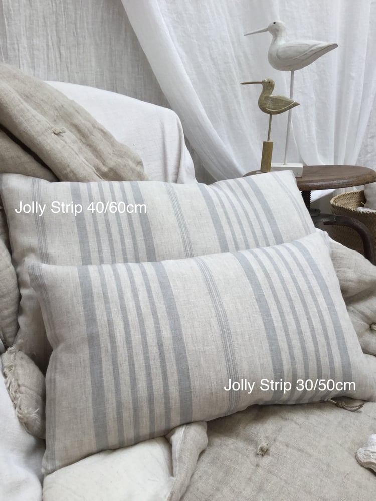Image of Housse de coussin 30/50cm Cabbages and Roses  Jolly Stripe naturel bleu grisé 