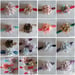 Image of 4 Inch Floral Flower Headbands -13 Color Choices 