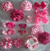 Image of Pretty In PInks Hairclips - 16 options