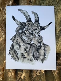 Black Sheep Print