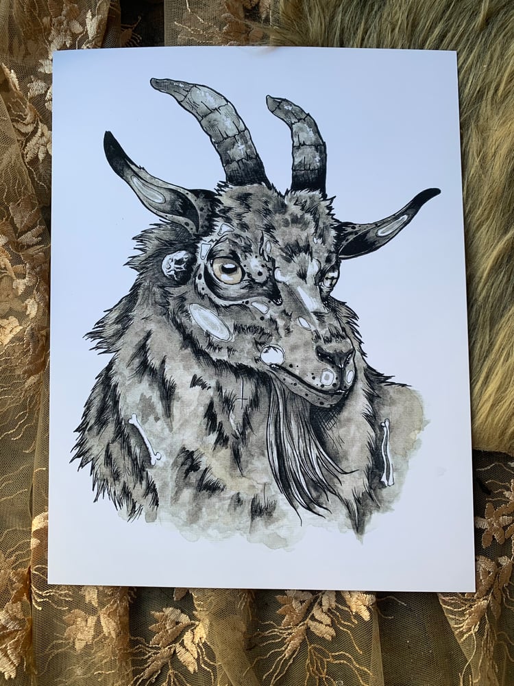 Image of Black Sheep Print