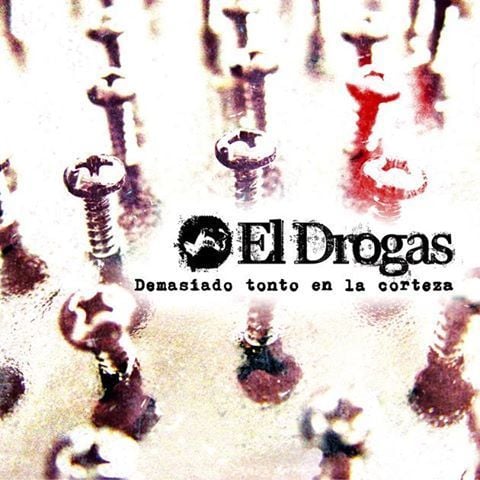 Image of Demasiado tonto en la corteza