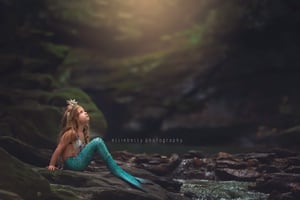 Image of 2025 Fairytale sessions (retainer fee)