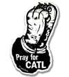 Pray for CATL Wall Piece