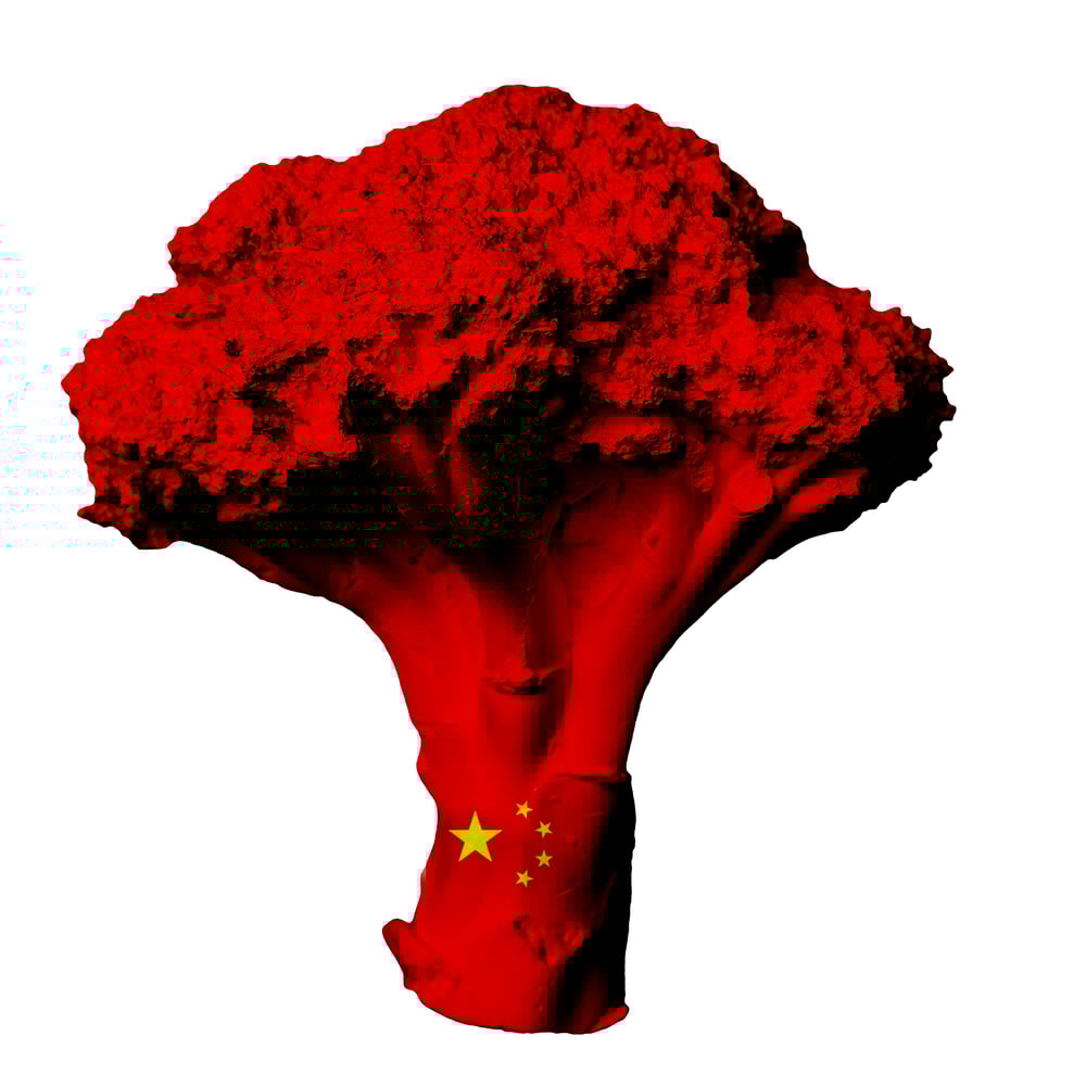 Image of Greeting Card (China)