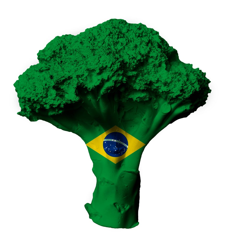 Image of Greeting Card (Brazil)