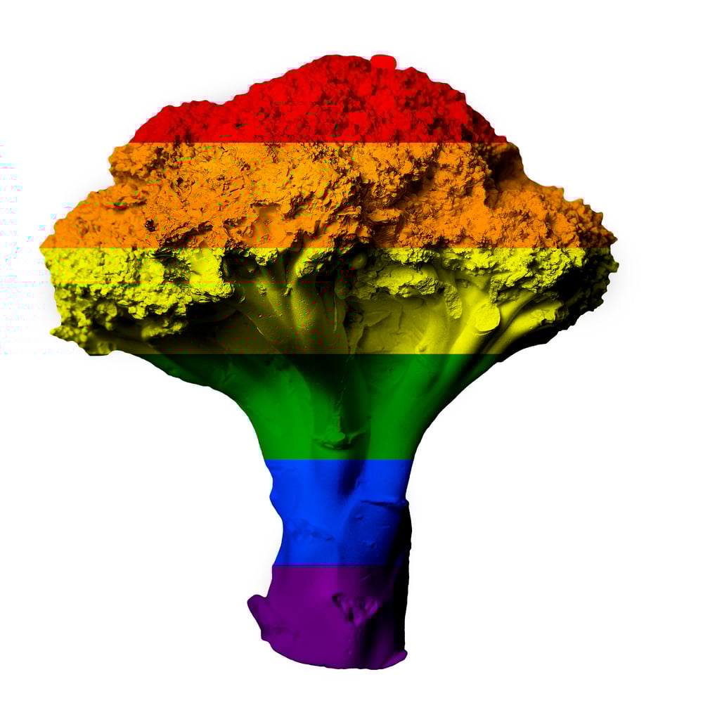Image of Greeting Card (Rainbow)