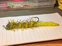 Image 1 of Articulated Hellgraworm 