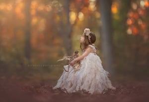 Image of 2025 Fairytale sessions (retainer fee)