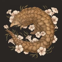 Pangolin Print