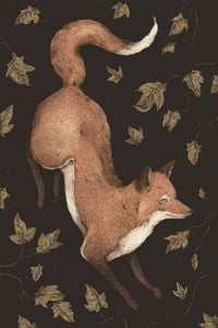 The Fox and Ivy Print