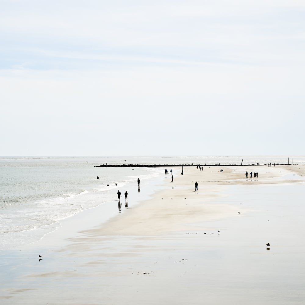 Image of Seashore 1311