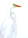 Image of Egret at the house, Nature-Inspired watercolor artwork