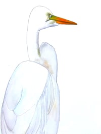Image 2 of Egret at the beach house, fine art watercolor bird painting