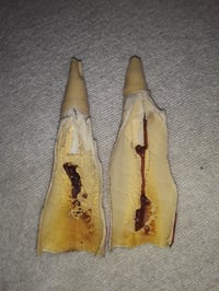 Image 3 of Ear Candling Services 
